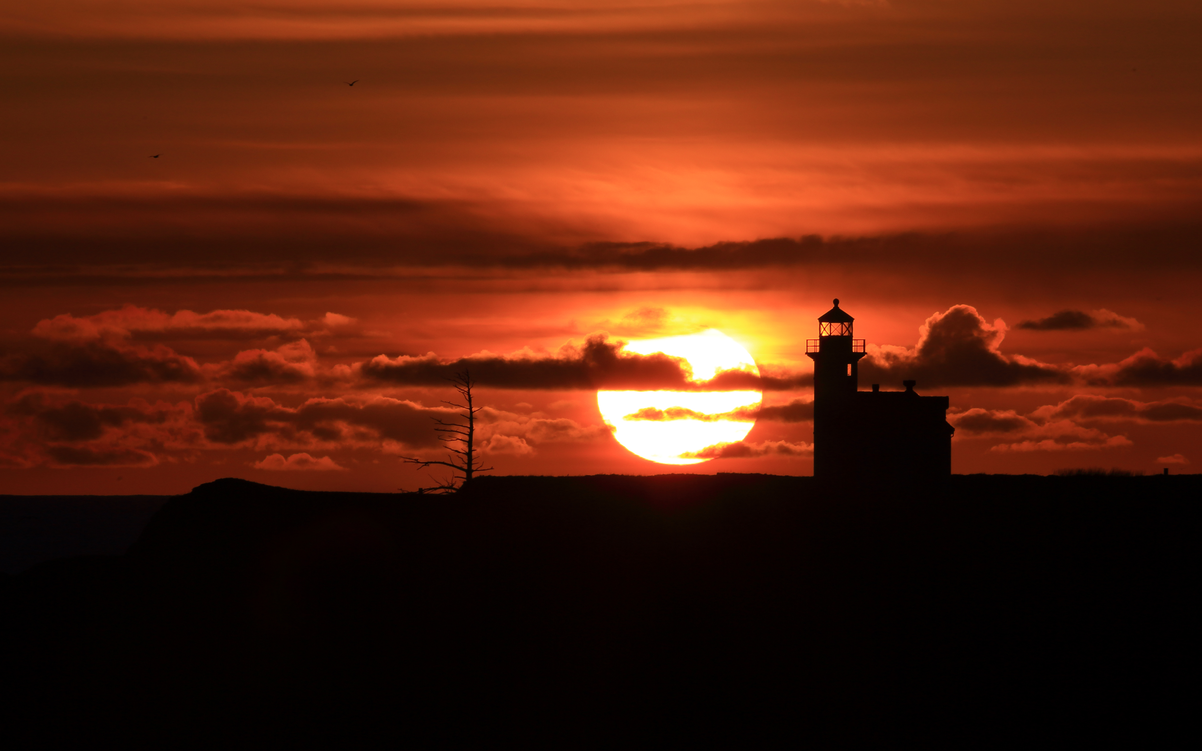 世界游艇挑战赛赛事医疗保障体系获国际认证，2021国际游艇展